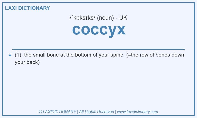 Definition coccyx in British English