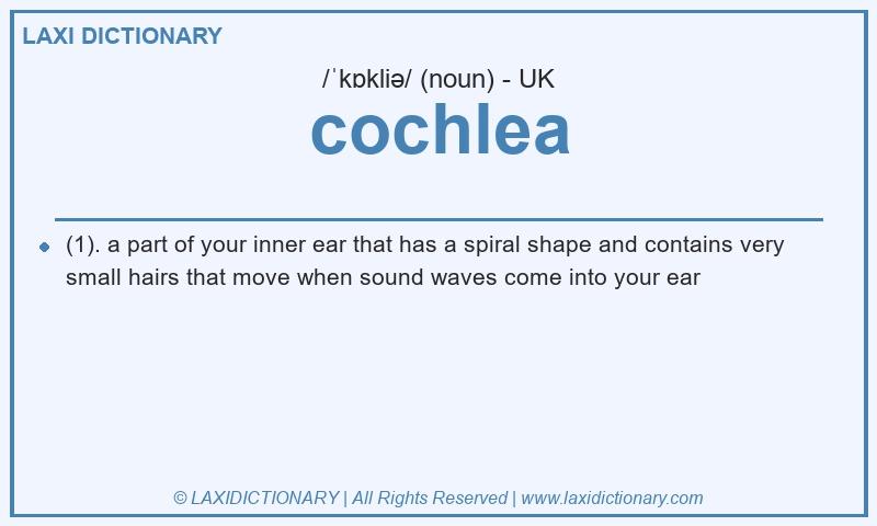 Definition cochlea in British English
