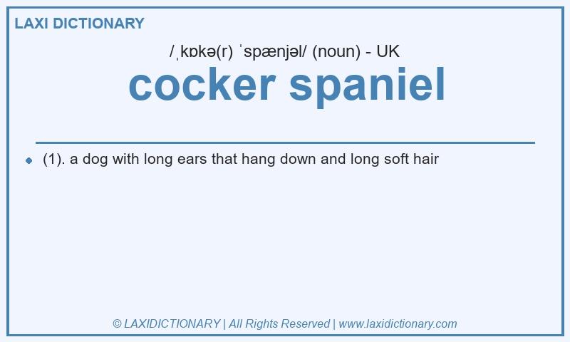 Definition cocker spaniel in British English