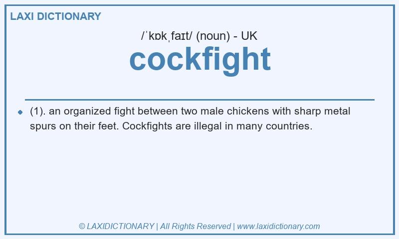 Definition cockfight in British English