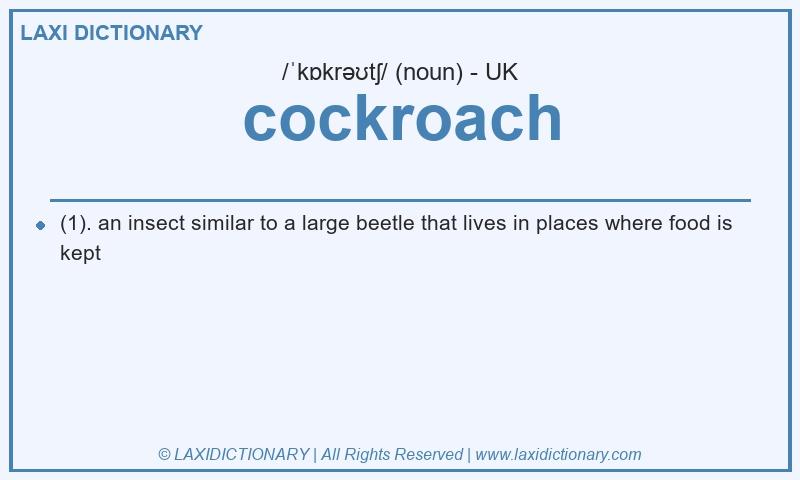 Definition cockroach in British English