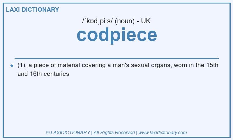 Definition codpiece in British English