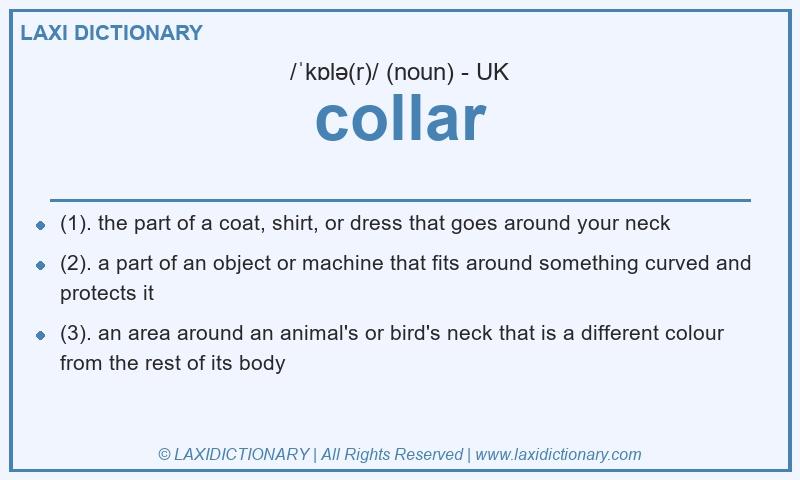 Definition collar in British English