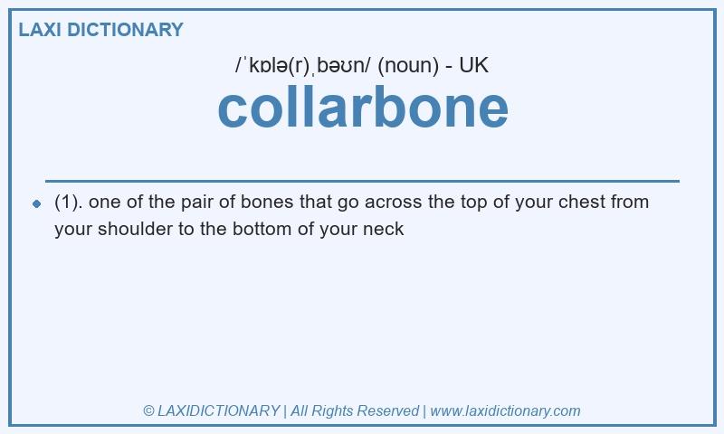 Definition collarbone in British English