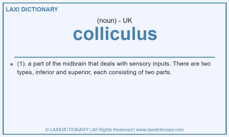 Definition colliculus in British English