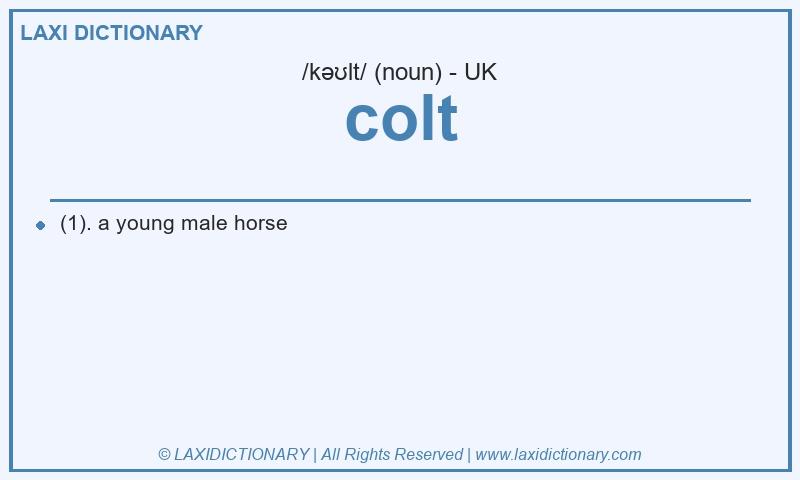 Definition colt in British English