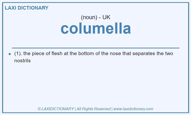 Definition columella in British English