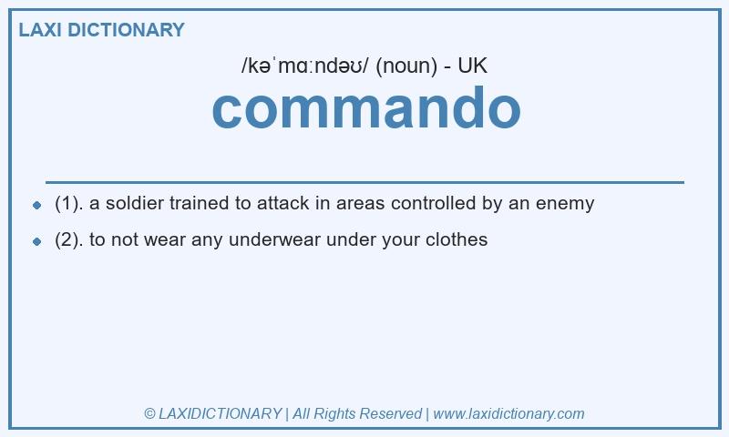 Definition commando in British English