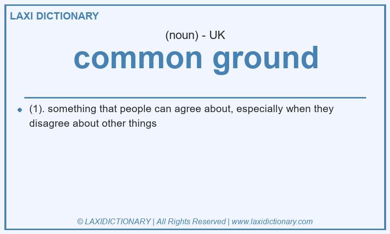 Definition common ground in British English