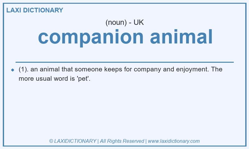 Definition companion animal in British English