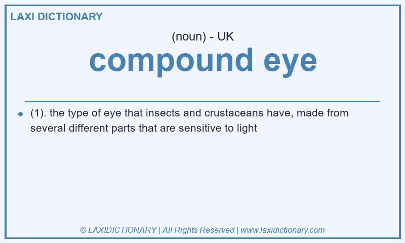 Definition compound eye in British English