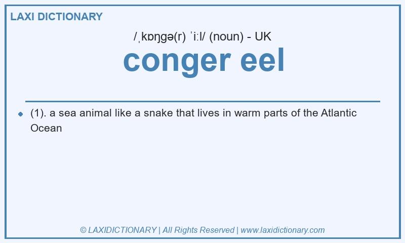 Definition conger eel in British English
