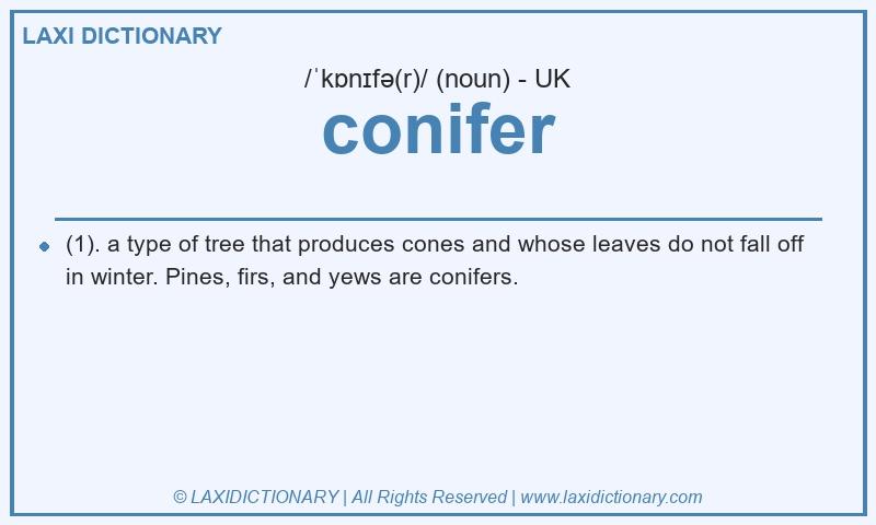 Definition conifer in British English