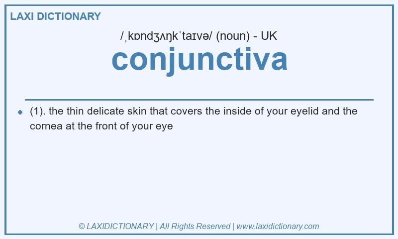 Definition conjunctiva in British English