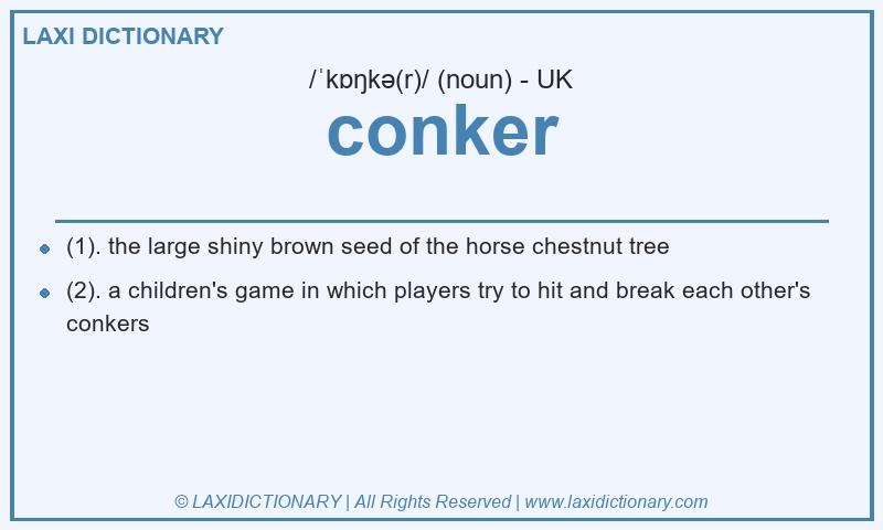 Definition conker in British English
