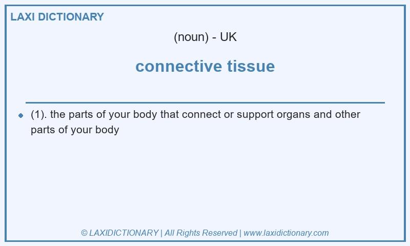 Definition connective tissue in British English