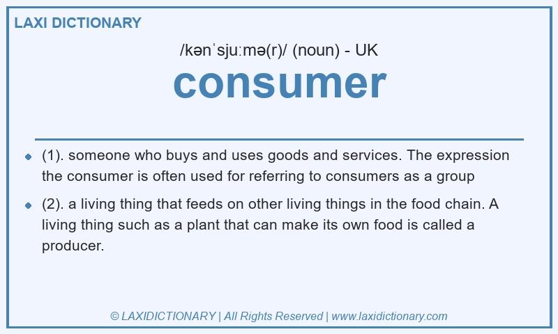 Definition consumer in British English