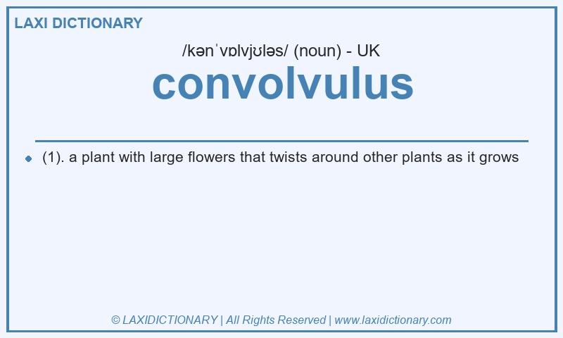 Definition convolvulus in British English