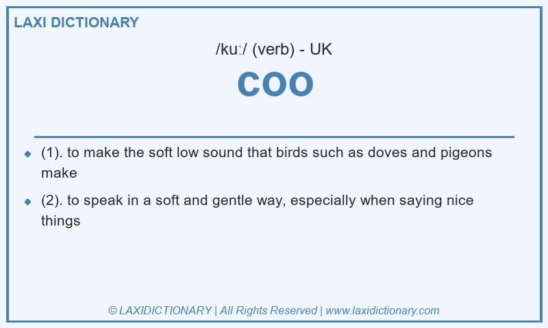 Definition coo in British English