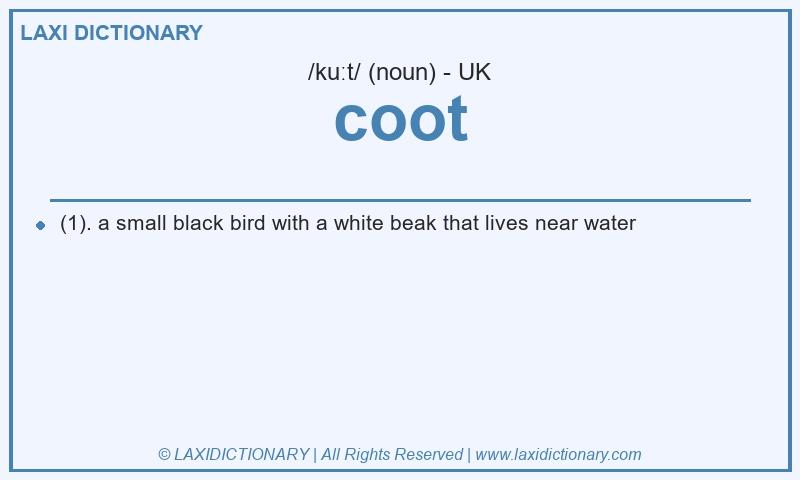 Definition coot in British English