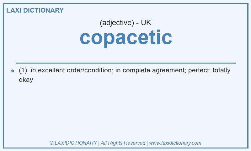Definition copacetic in British English
