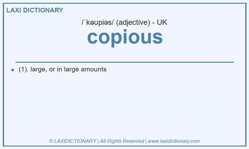 Definition copious in British English