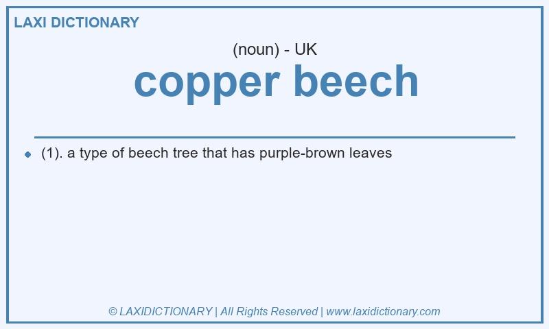Definition copper beech in British English