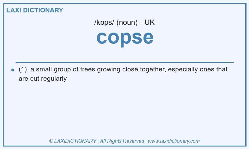 Definition copse in British English