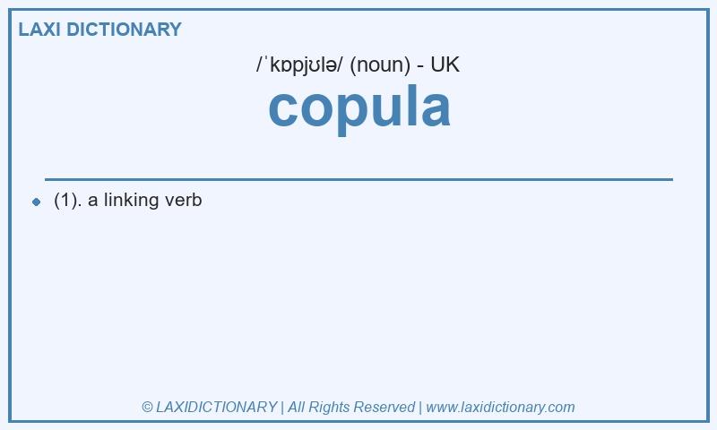 Definition copula in British English