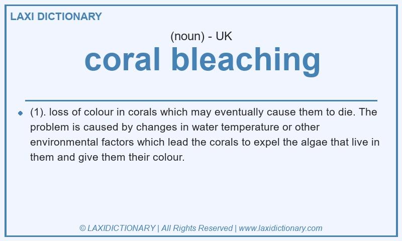 Definition coral bleaching in British English