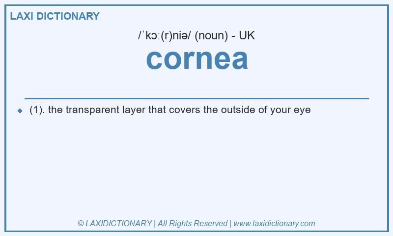 Definition cornea in British English