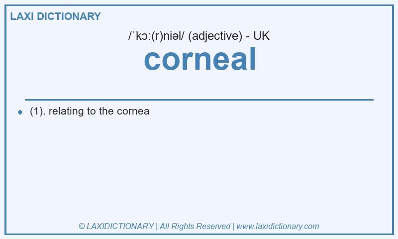 Definition corneal in British English