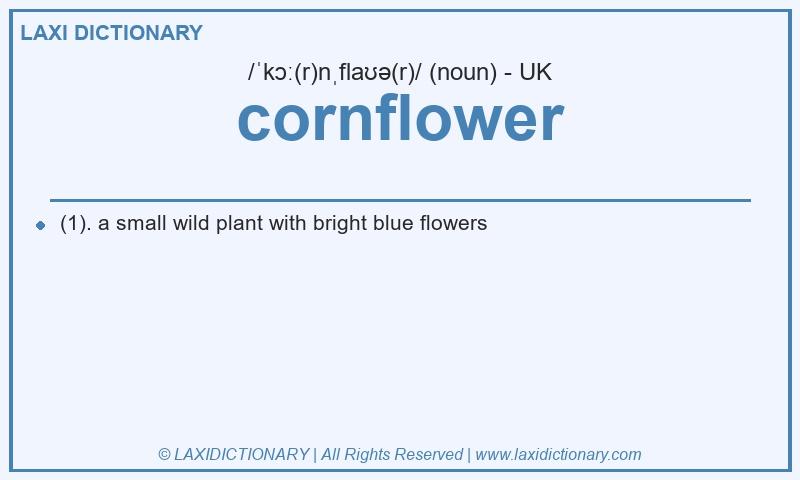 Definition cornflower in British English