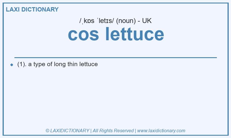 Definition cos lettuce in British English