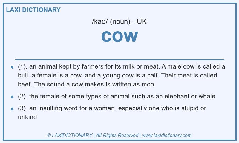 Definition cow in British English