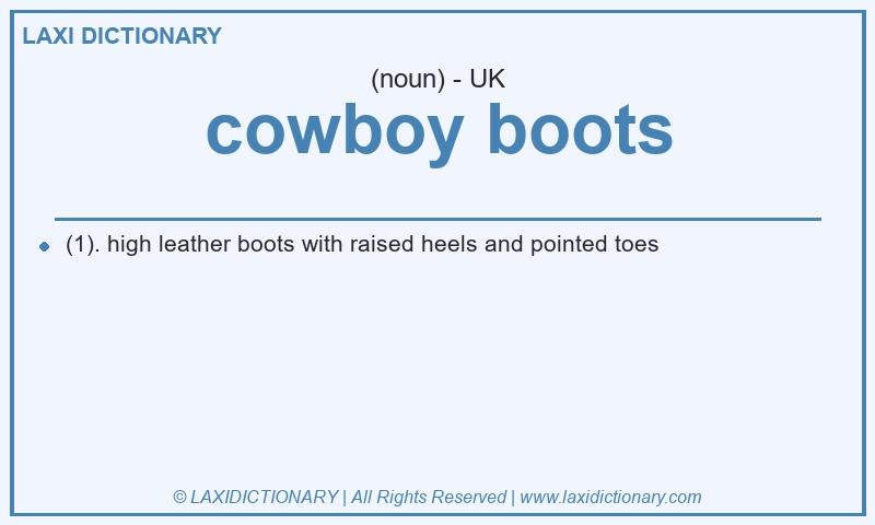 Definition cowboy boots in British English