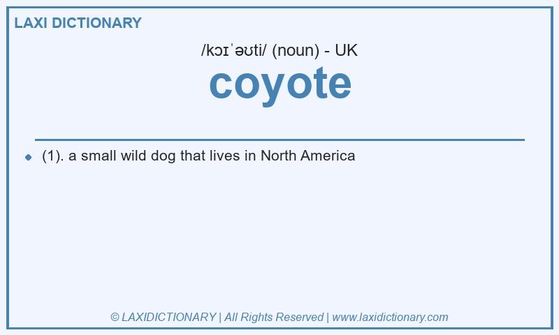 Definition coyote in British English