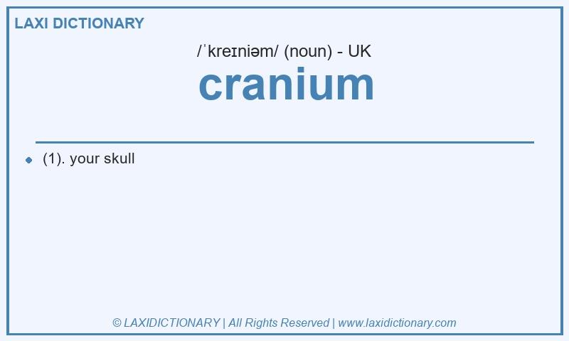 Definition cranium in British English
