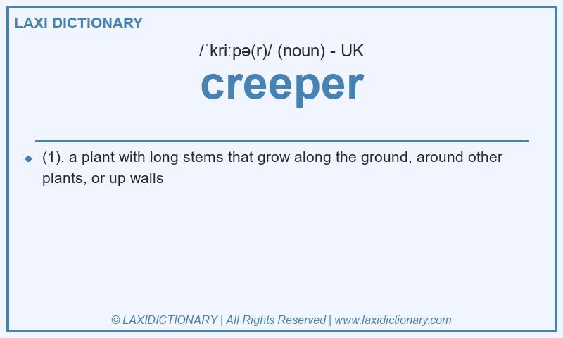 Definition creeper in British English