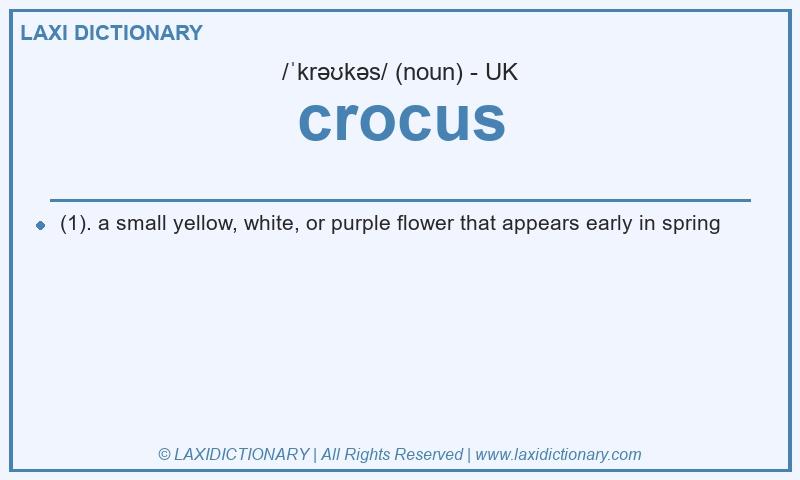 Definition crocus in British English