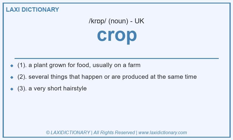 Definition crop in British English