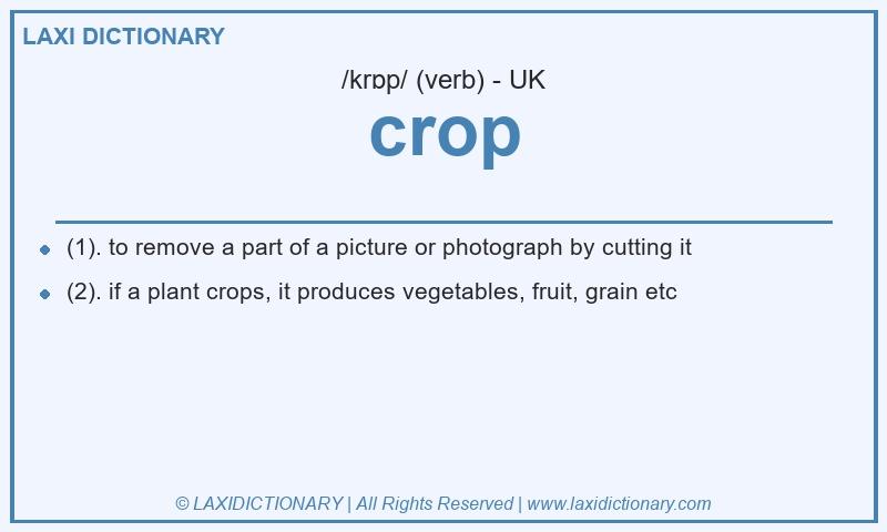 Definition crop in British English