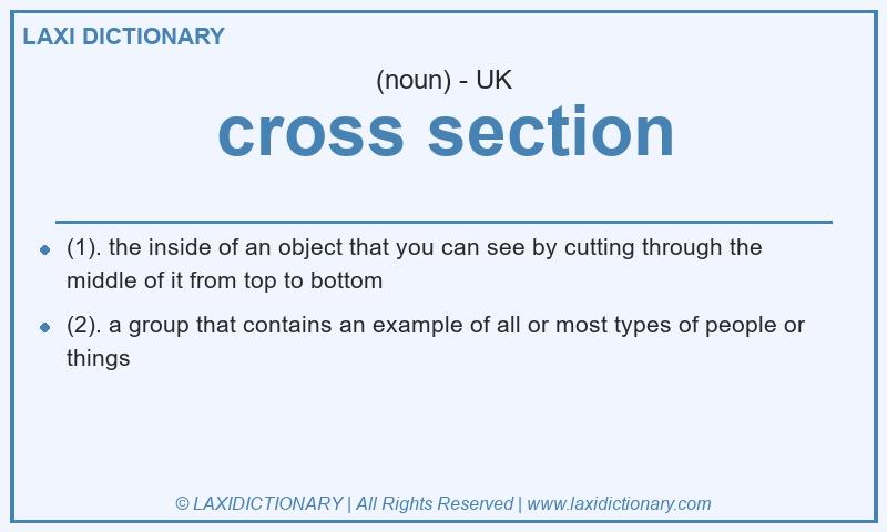 Definition cross section in British English