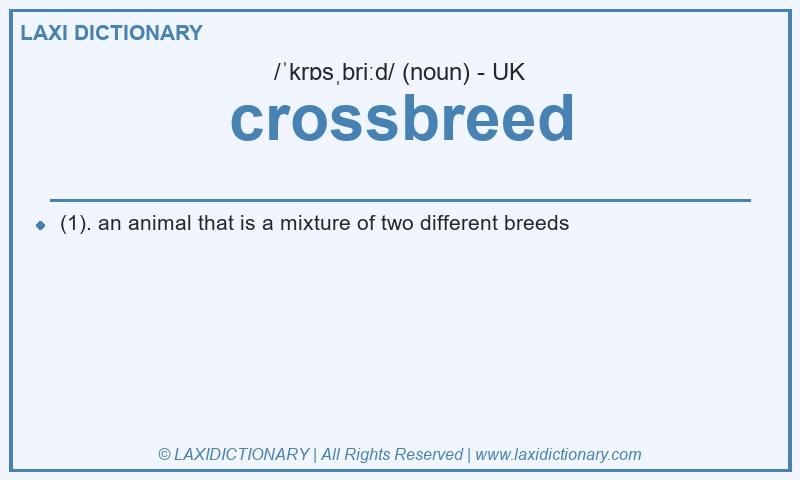 Definition crossbreed in British English