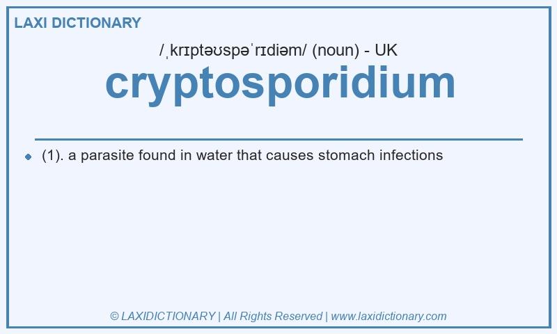Definition cryptosporidium in British English
