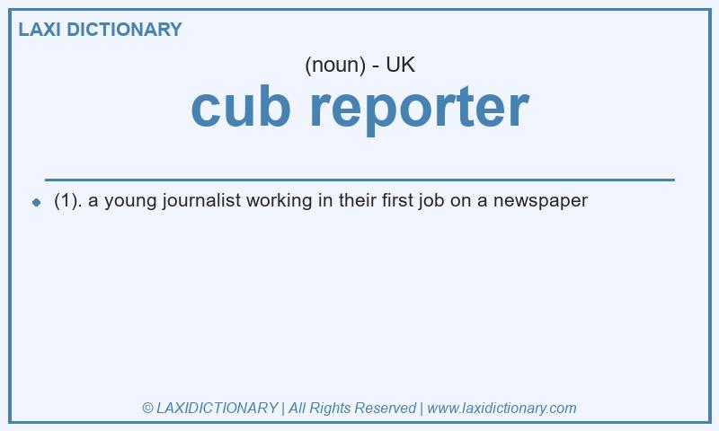 Definition cub reporter in British English