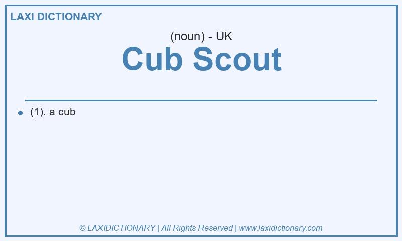 Definition Cub Scout in British English