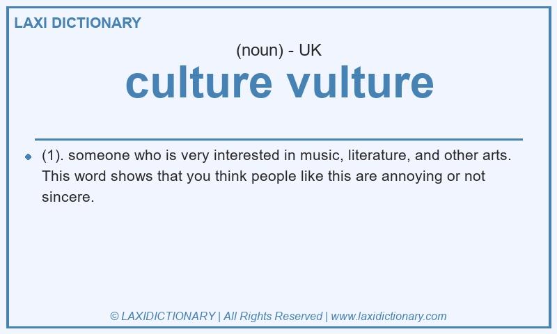 Definition culture vulture in British English