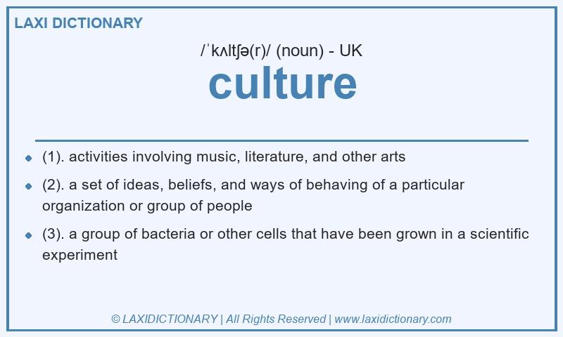 Definition culture in British English