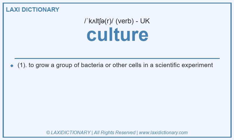 Definition culture in British English